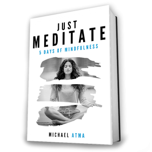 just meditate book